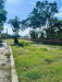 78 katha land
